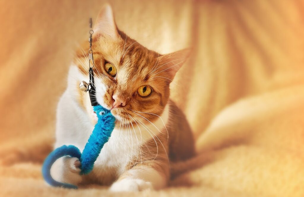 best cat toys for hunting instinct