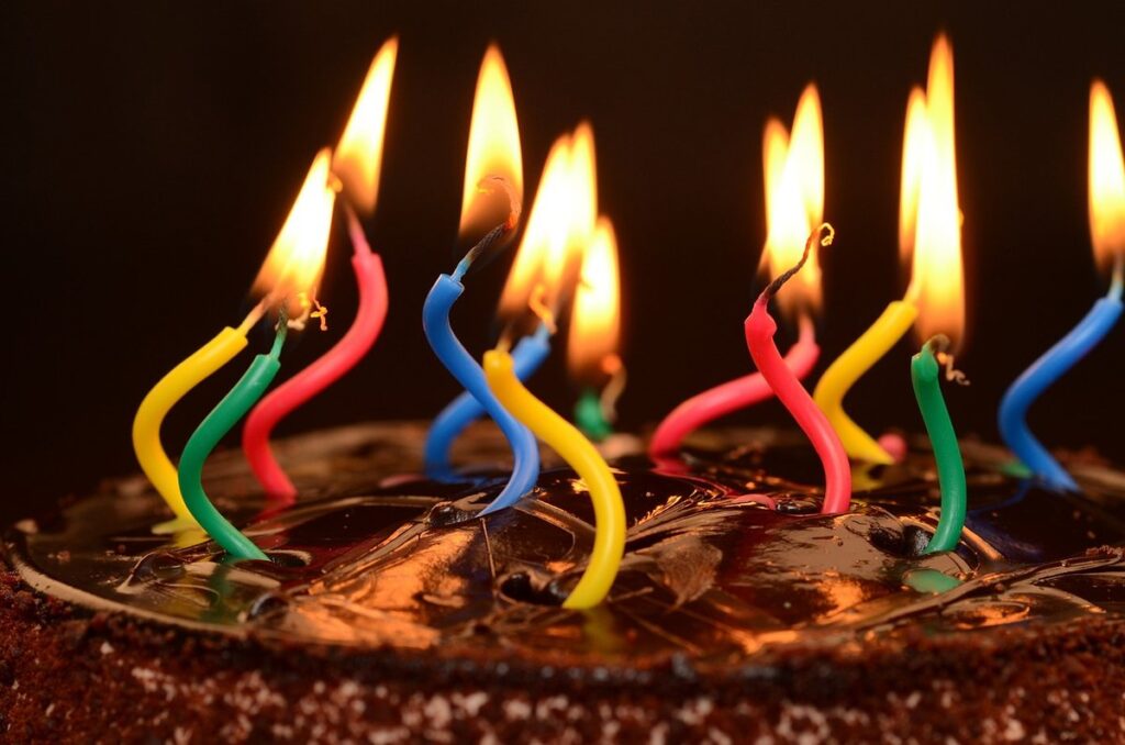 birthday treats for cats