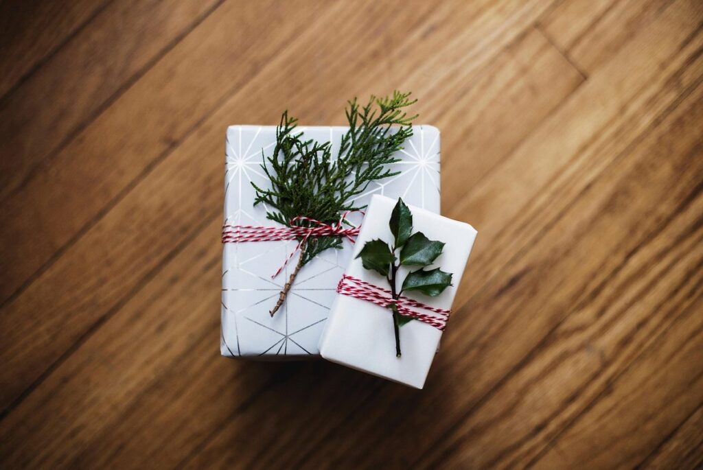presents for cats for christmas