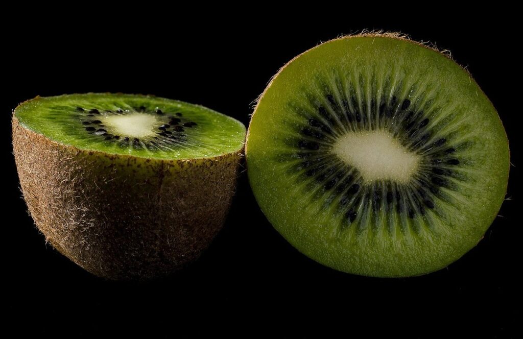 can cats eat fruits