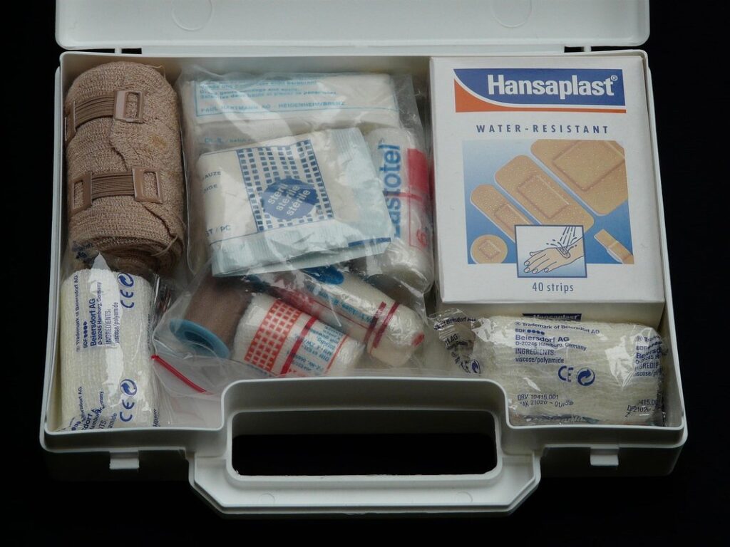 cat first aid