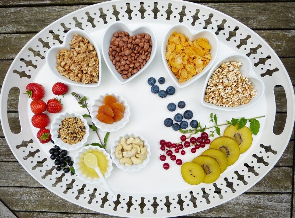 how to choose the best cat food