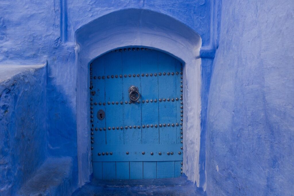 cat gate door