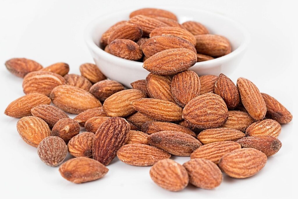 healthy diet for cats