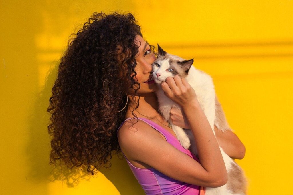 how to hold a cat