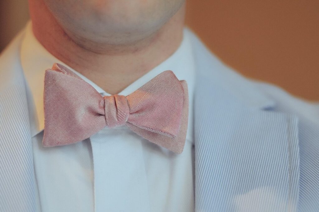 cat with bow tie