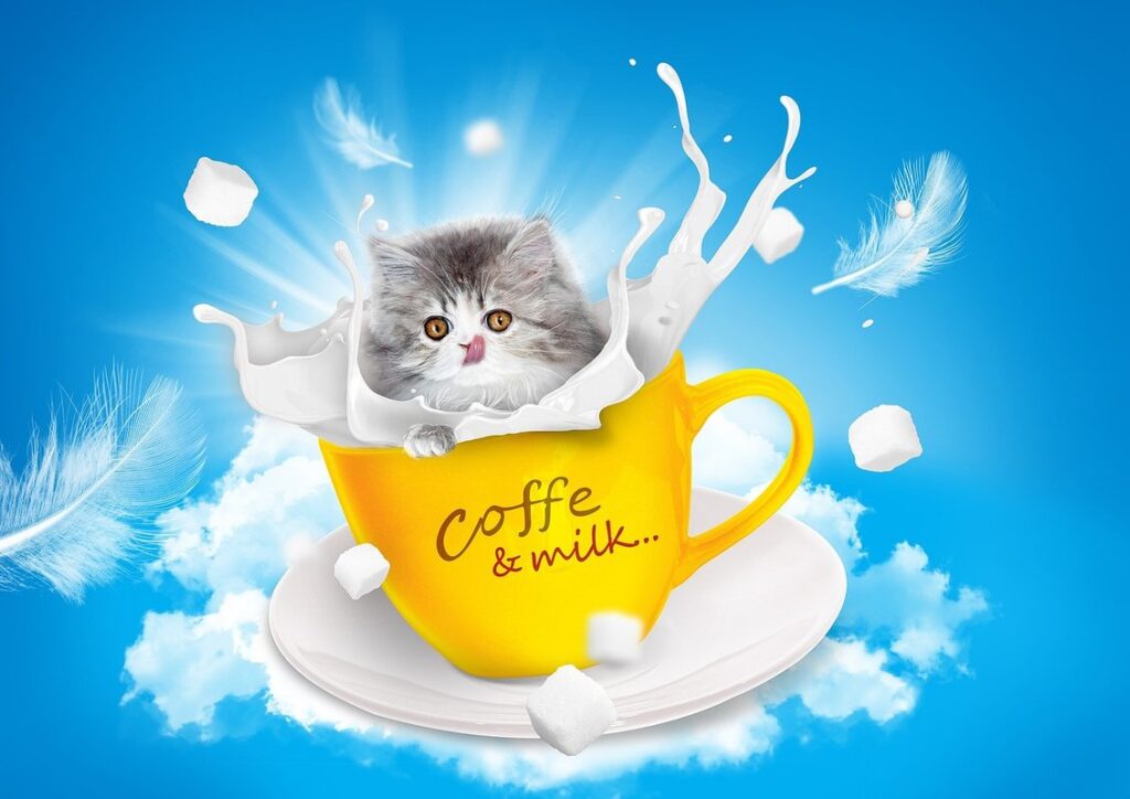how to dilute cow milk for kittens