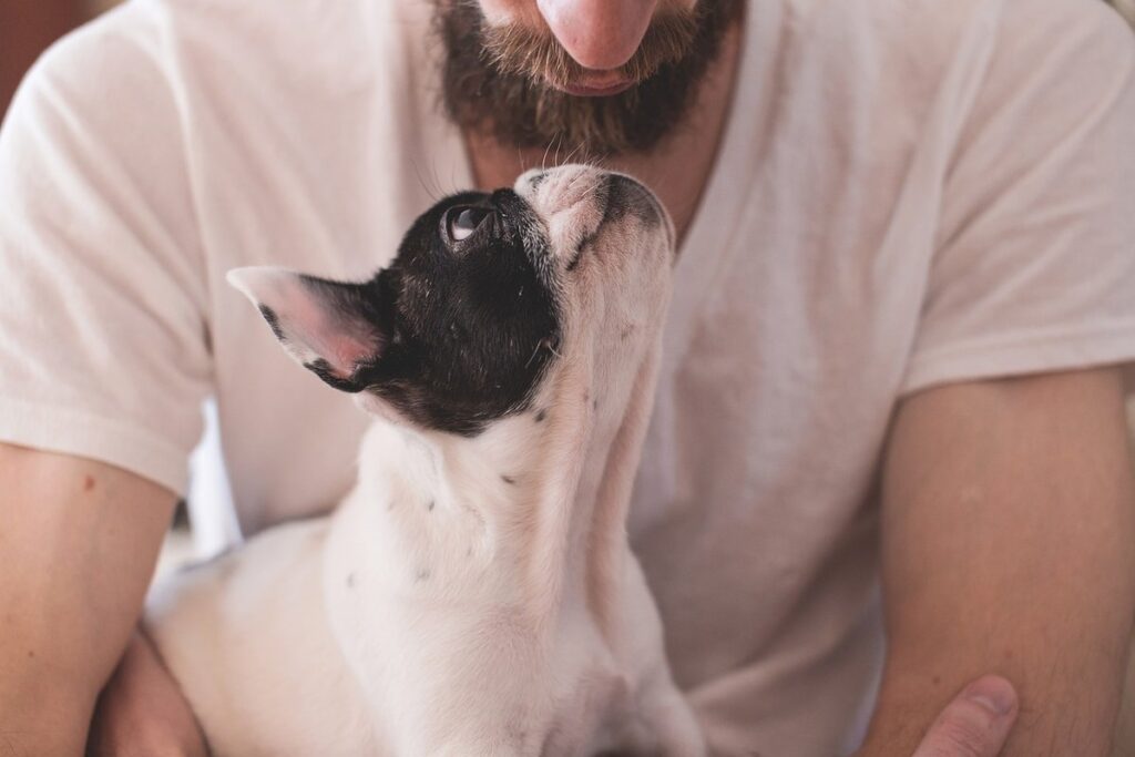 do cats actually love their owners