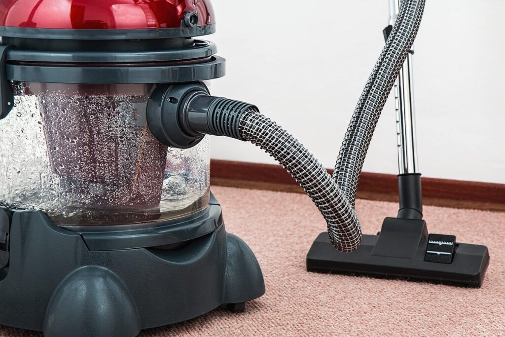 cat pee on carpet how to clean
