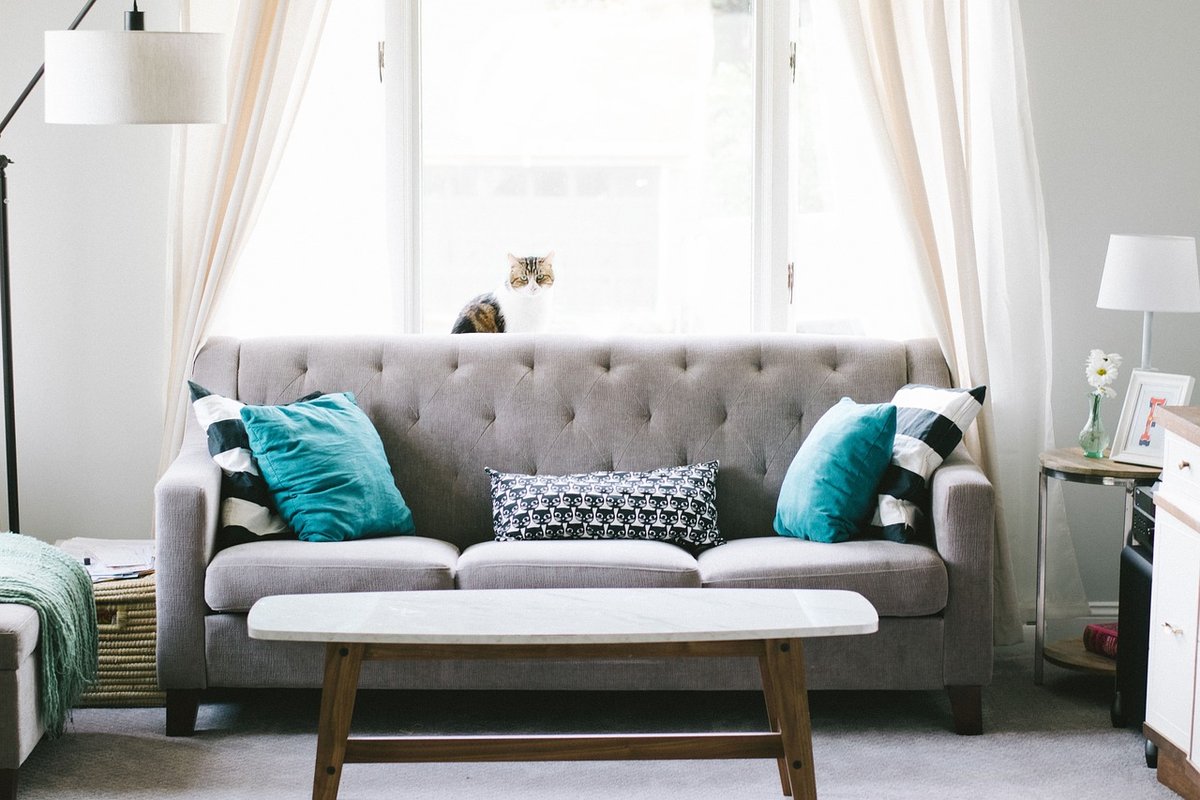Protect Your Furniture from Cat Scratch Damage - Complete Cat Guide