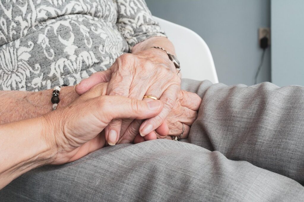 cat senior care