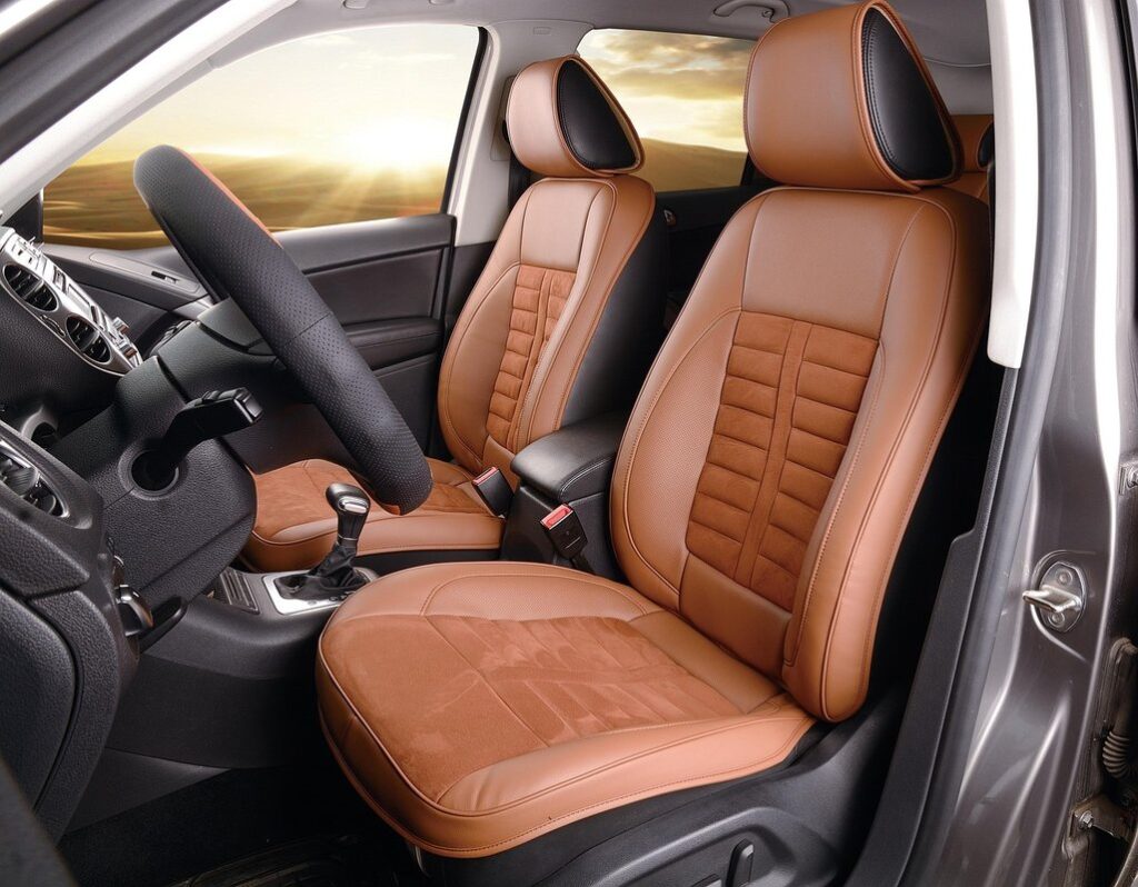cat urine in car seat