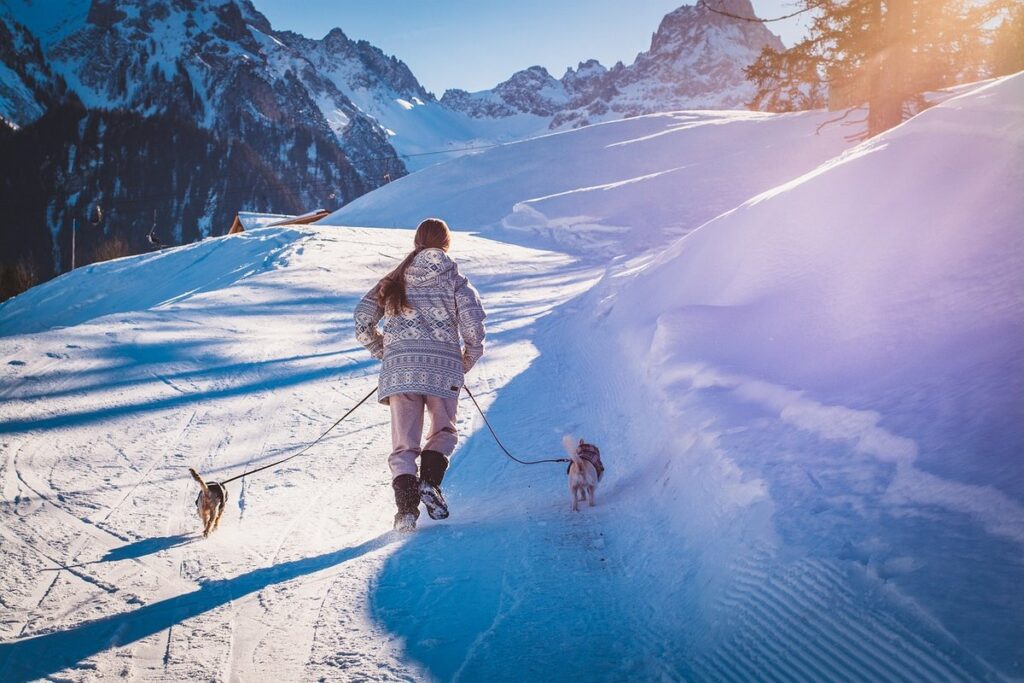 walking the cat on a leash