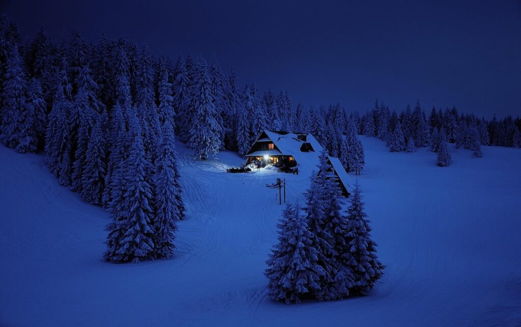 Cat winter shelter