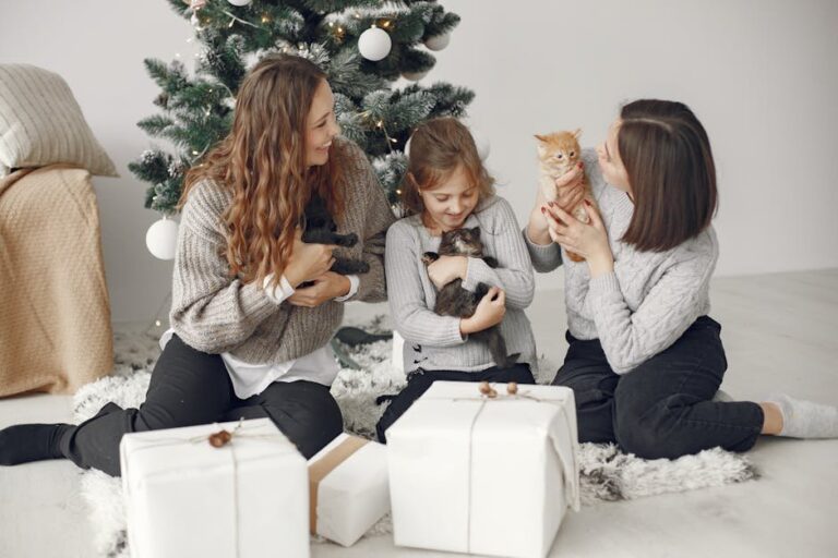cats in christmas clothes