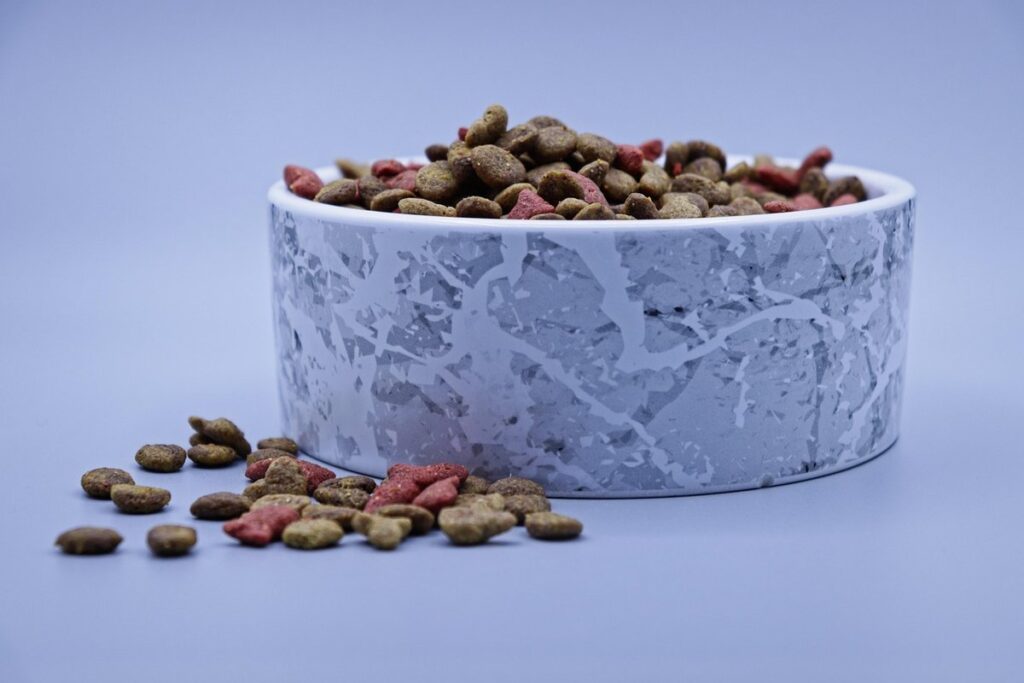 feline diet