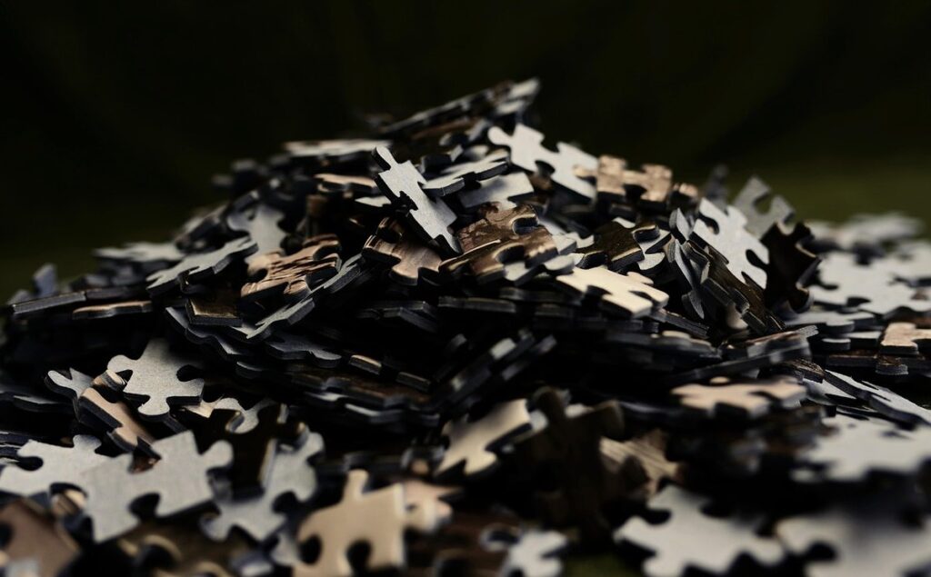 feline food puzzles