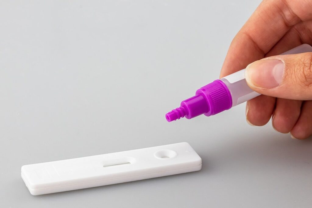 how much does a fiv/felv test cost