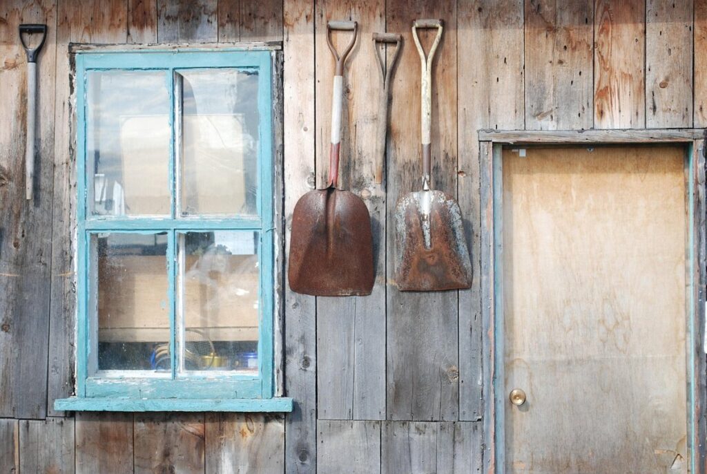 how to get rid of fleas in the house quickly