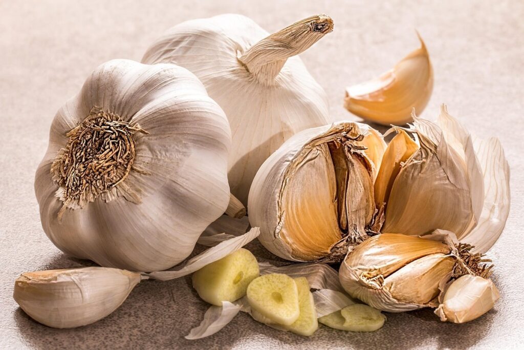 garlic for cats
