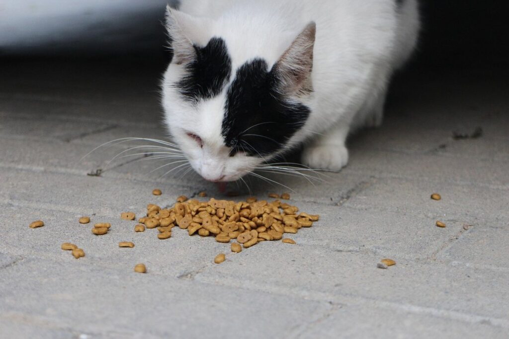 how to stop your cat from eating plants