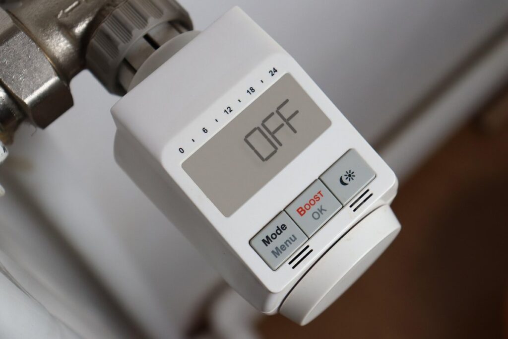 when can kittens regulate body temp
