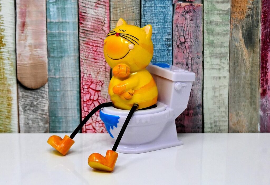 litter box alternatives