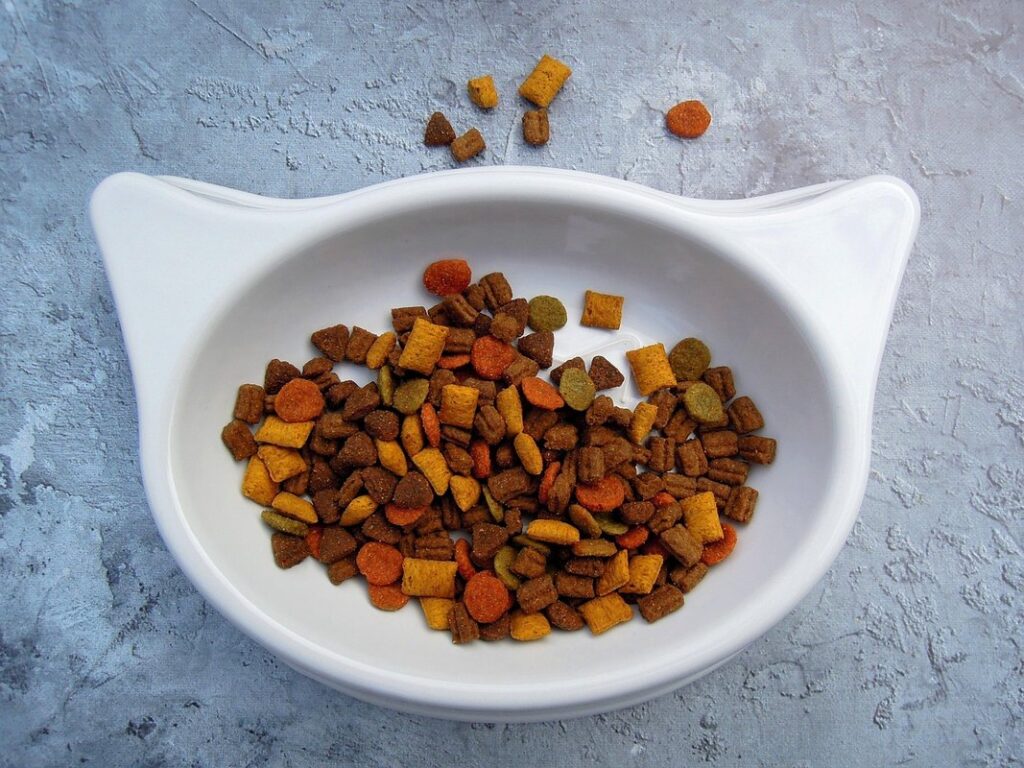 foods toxic to cats