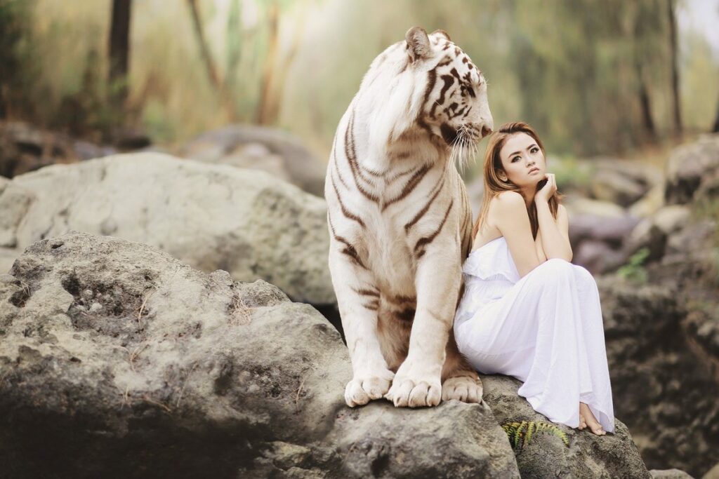 white bengal