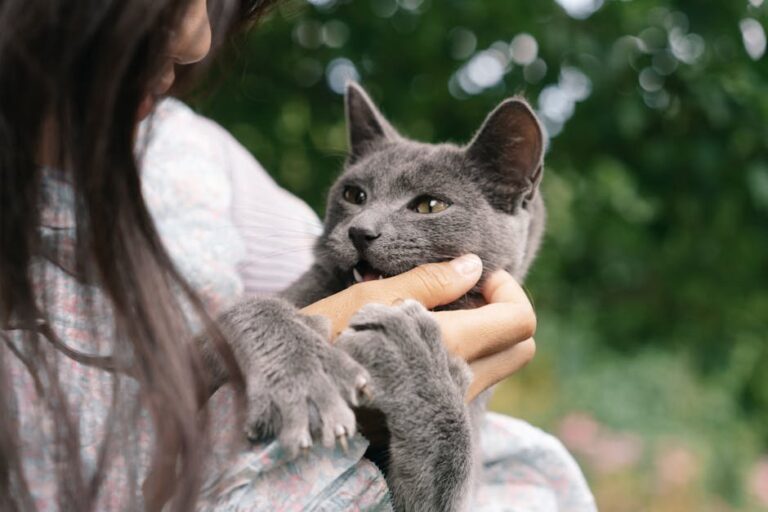 cat biting while petting