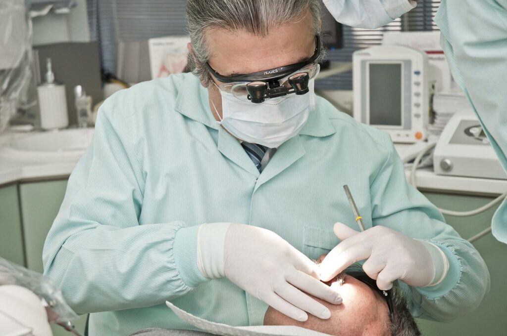 cat dental health