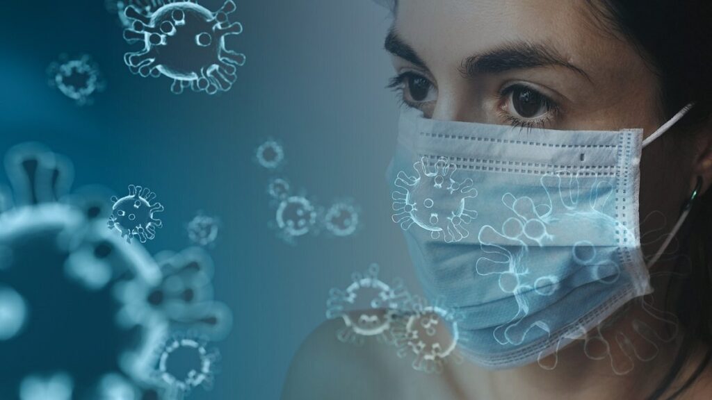 diseases from cats to humans