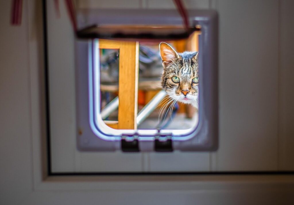 who created the cat flap