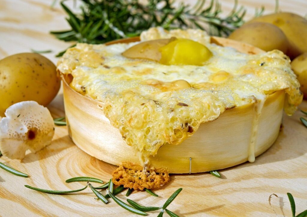 lactose free cheese for cats