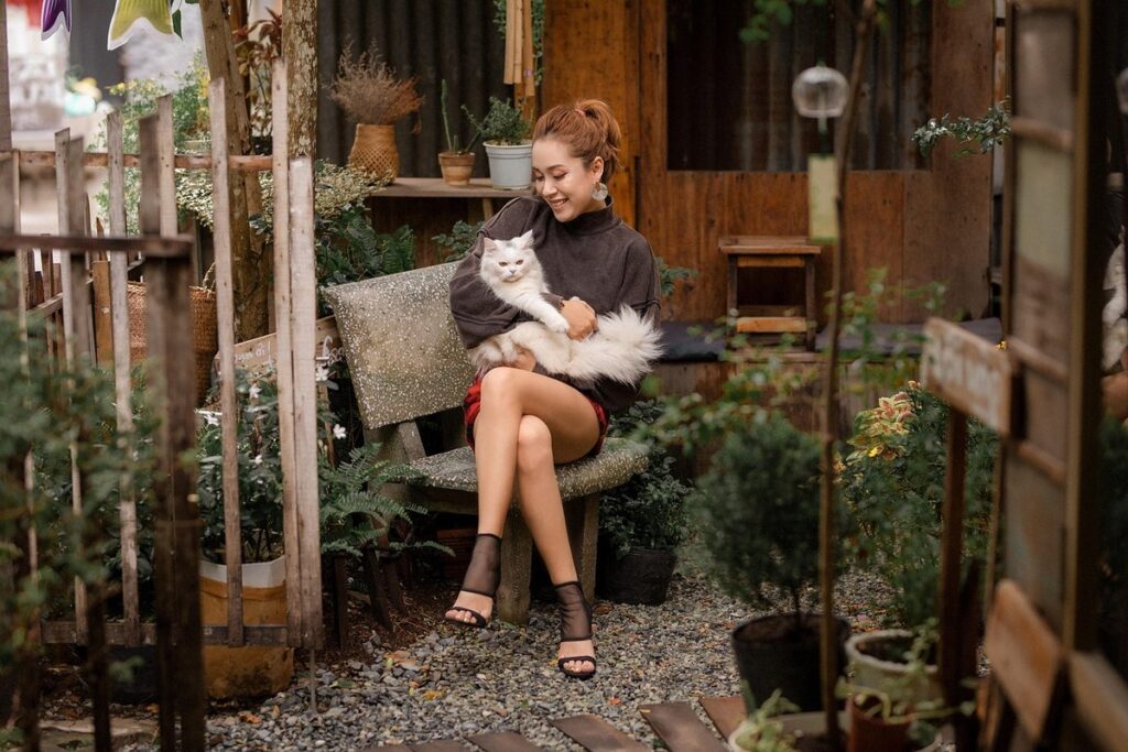 how to keep cats from pooping in yard