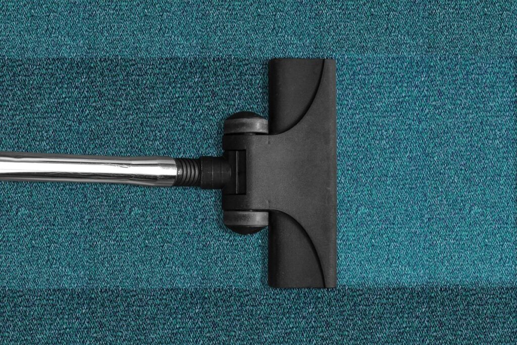 how to clean up cat urine
