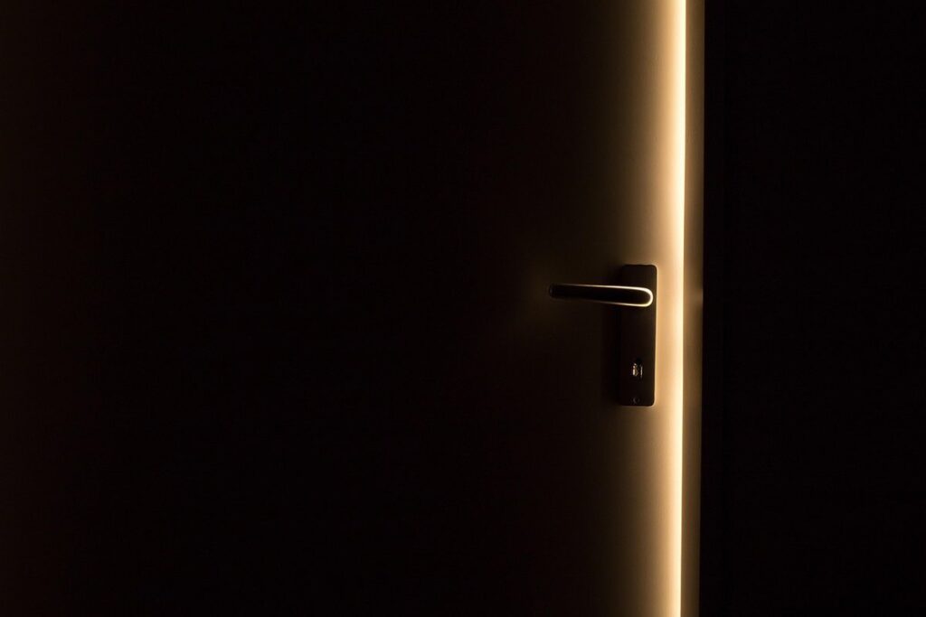 cats opening door