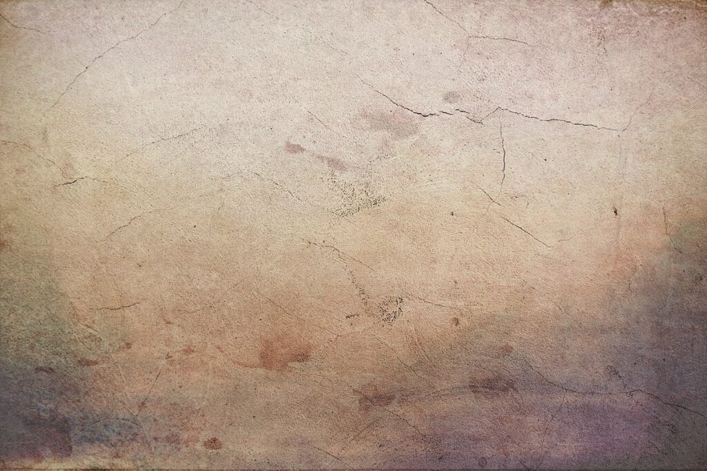 distressed cat