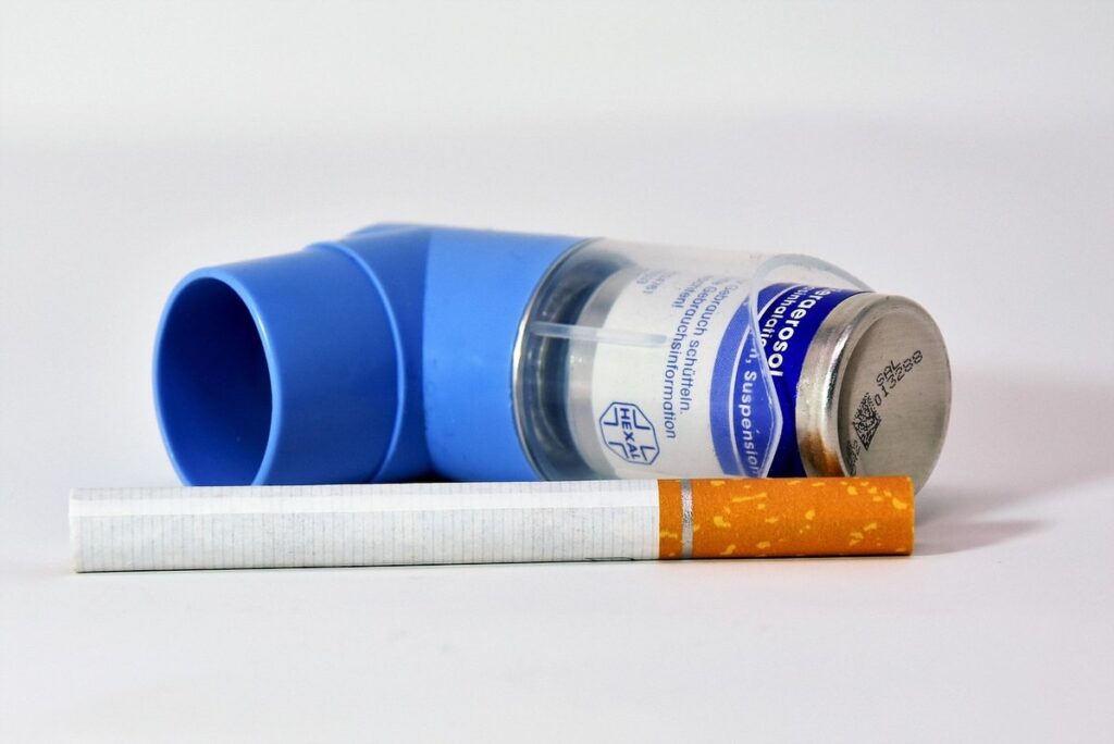 feline asthma