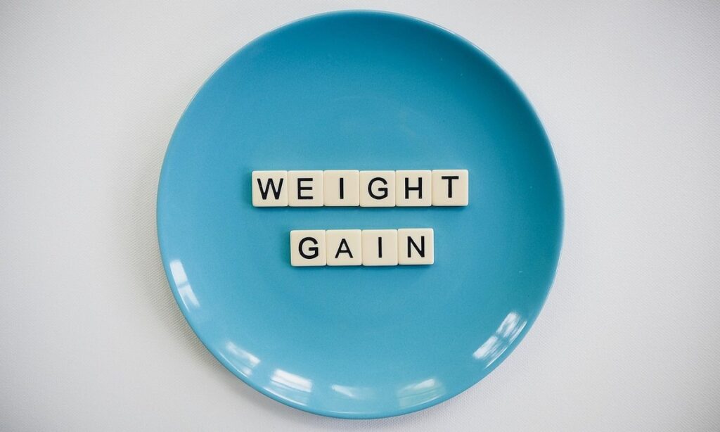 feline weight gain