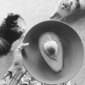 pumpkin in cat food
