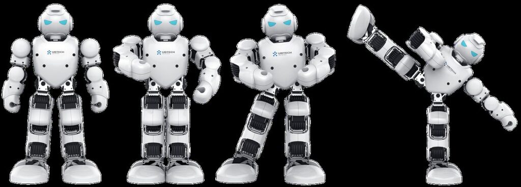 robot toys for cats