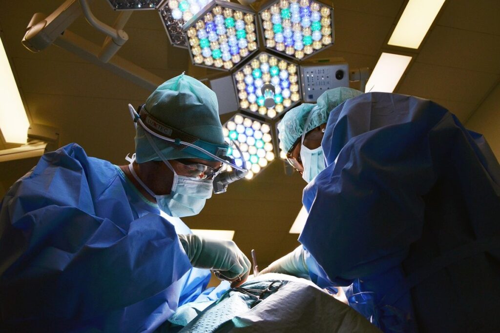 spay operation cat