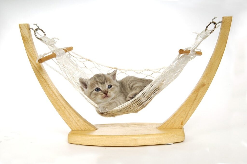 window hammock for cats