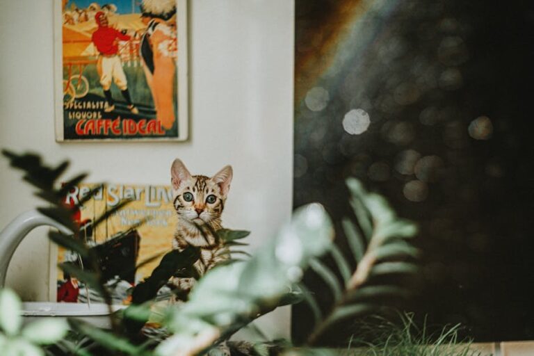 mid century cat furniture