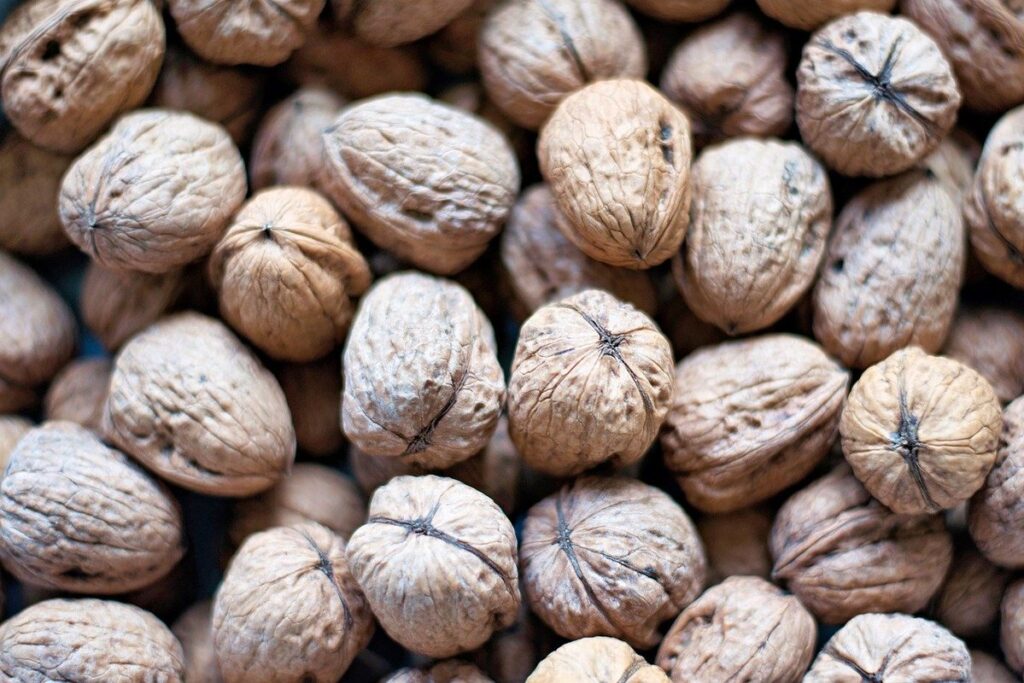 walnut shell cat litter